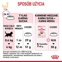 ROYAL CANIN FHN Kitten - sucha karma dla kociąt - 4kg