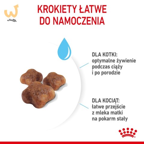 ROYAL CANIN FHN Mother&Babycat - sucha karma dla kociąt - 4kg ROYAL CANIN FHN Mother&Babycat - sucha karma dla kociąt - 4kg