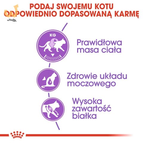 ROYAL CANIN FHN Regular Sterilised 37 - sucha karma dla kota dorosłego - 10 kg ROYAL CANIN FHN Regular Sterilised 37 - sucha karma dla kota dorosłego - 10 kg