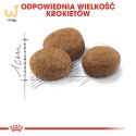 ROYAL CANIN FHN Sterilised 7+ - sucha karma dla kota dorosłego - 10 kg