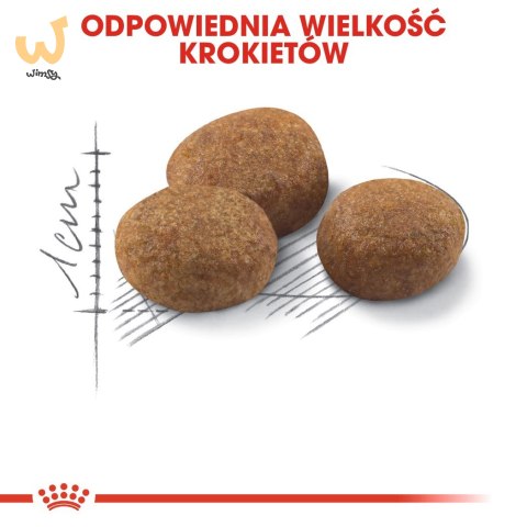 ROYAL CANIN FHN Sterilised 7+ - sucha karma dla kota dorosłego - 10 kg ROYAL CANIN FHN Sterilised 7+ - sucha karma dla kota dorosłego - 10 kg