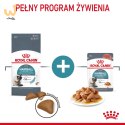 ROYAL CANIN Hairball Care 0,4kg
