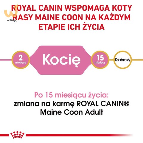 ROYAL CANIN Maine Coon Kitten 0,4kg ROYAL CANIN Maine Coon Kitten 0,4kg