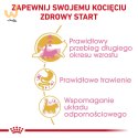 ROYAL CANIN Maine Coon Kitten 0,4kg