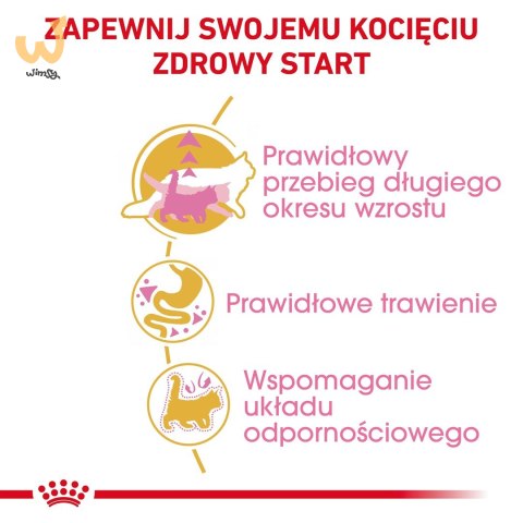 ROYAL CANIN Maine Coon Kitten 0,4kg ROYAL CANIN Maine Coon Kitten 0,4kg