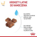 ROYAL CANIN Mother & Babycat 34 0,4kg