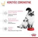 ROYAL CANIN Mother & Babycat 34 0,4kg