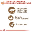 ROYAL CANIN Senior Ageing 12+ Sterilised 0,4kg