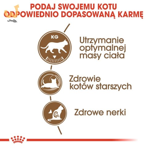 ROYAL CANIN Senior Ageing 12+ Sterilised 2kg ROYAL CANIN Senior Ageing 12+ Sterilised 2kg