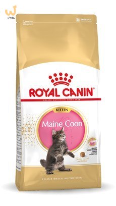 Royal Canin FBN Maine Coon Kitten - sucha karma dla kociąt - 10kg Royal Canin FBN Maine Coon Kitten - sucha karma dla kociąt - 10kg