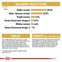 Royal Canin FBN Persian Adult - sucha karma dla kota dorosłego - 4kg