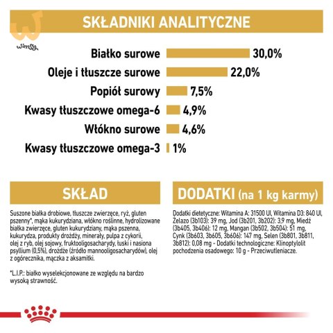 Royal Canin FBN Persian Adult - sucha karma dla kota dorosłego - 4kg Royal Canin FBN Persian Adult - sucha karma dla kota dorosłego - 4kg