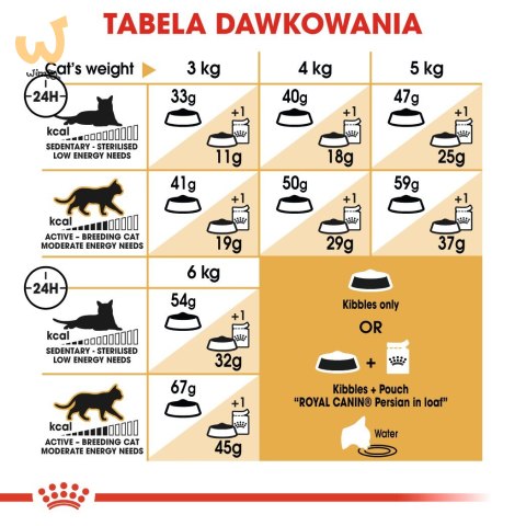 Royal Canin FBN Persian Adult - sucha karma dla kota dorosłego - 4kg Royal Canin FBN Persian Adult - sucha karma dla kota dorosłego - 4kg