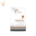 VetExpert Veterinary Diet Intestinal cat 250g