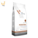 VetExpert Veterinary Diet Intestinal cat 2kg