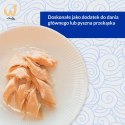 INABA Grilled Chicken Filet z kurczaka w bulionie o smaku kurczaka - przysmak dla kota - 25 g
