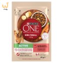 Purina ONE MINI Dog Active GiG wołowina, ziem. 85g