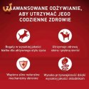 Purina ONE MINI Dog Active GiG wołowina, ziem. 85g
