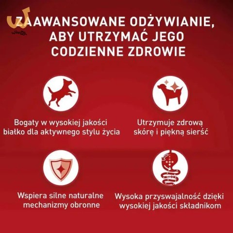 Purina ONE MINI Dog Active GiG wołowina, ziem. 85g Purina ONE MINI Dog Active GiG wołowina, ziem. 85g