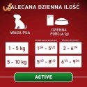 Purina ONE MINI Dog Active GiG wołowina, ziem. 85g