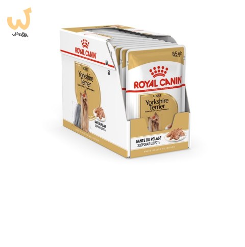 ROYAL CANIN BHN Yorkshire Terrier Adult - mokra karma dla psa dorosłego - 12x85g ROYAL CANIN BHN Yorkshire Terrier Adult - mokra karma dla psa dorosłego - 12x85g