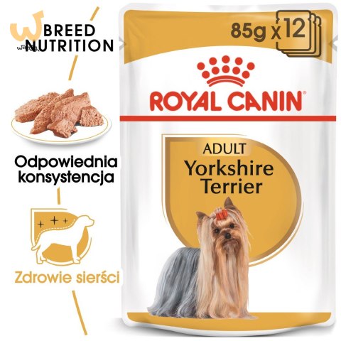 ROYAL CANIN BHN Yorkshire Terrier Adult - mokra karma dla psa dorosłego - 12x85g ROYAL CANIN BHN Yorkshire Terrier Adult - mokra karma dla psa dorosłego - 12x85g
