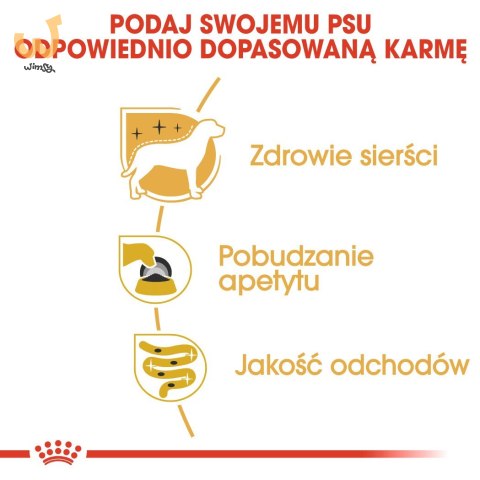 ROYAL CANIN BHN Yorkshire Terrier Adult - mokra karma dla psa dorosłego - 12x85g ROYAL CANIN BHN Yorkshire Terrier Adult - mokra karma dla psa dorosłego - 12x85g