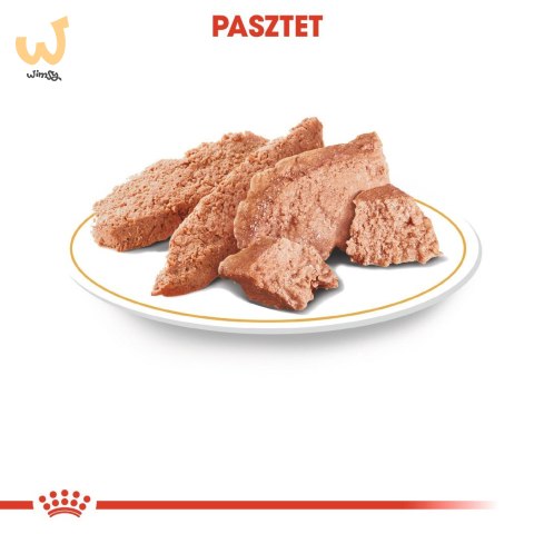 ROYAL CANIN BHN Yorkshire Terrier Adult - mokra karma dla psa dorosłego - 12x85g ROYAL CANIN BHN Yorkshire Terrier Adult - mokra karma dla psa dorosłego - 12x85g
