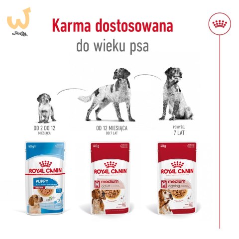 ROYAL CANIN SHN Medium Adult w sosie - mokra karma dla psa dorosłego - 10x140 g ROYAL CANIN SHN Medium Adult w sosie - mokra karma dla psa dorosłego - 10x140 g
