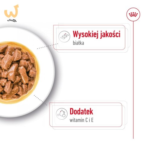 ROYAL CANIN SHN Medium Adult w sosie - mokra karma dla psa dorosłego - 10x140 g ROYAL CANIN SHN Medium Adult w sosie - mokra karma dla psa dorosłego - 10x140 g