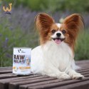 VetExpert Raw Paleo Indyk Adult Can 800g