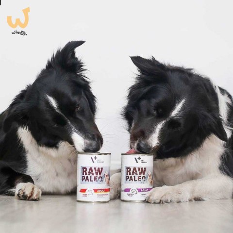 VetExpert Raw Paleo Wołowina Adult Can 400g VetExpert Raw Paleo Wołowina Adult Can 400g