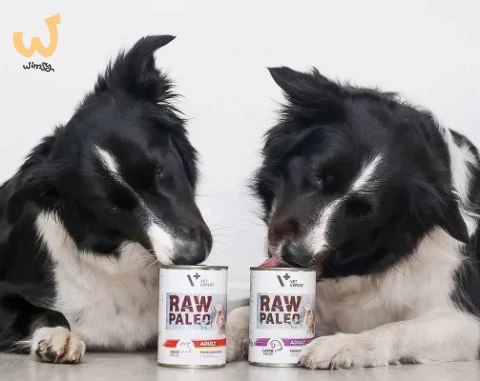 VetExpert Raw Paleo Wołowina Adult Can 800g VetExpert Raw Paleo Wołowina Adult Can 800g