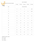 VetExpert Raw Paleo Wołowina Puppy Can 400g