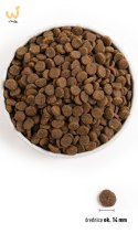 ACANA Singles Grass-fed Lamb - sucha karma dla psa - 11,4 kg