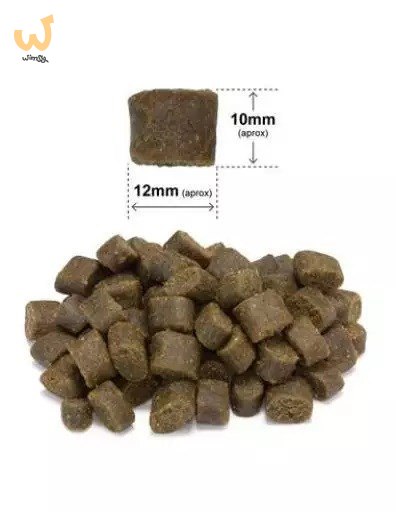 ARQUIVET FRESH Półwilgotna karma dla psa wieprzowina iberyjska i ryba oceaniczna 2,5 kg ARQUIVET FRESH Półwilgotna karma dla psa wieprzowina iberyjska i ryba oceaniczna 2,5 kg