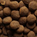 BIOFEED NASZ PIES Z WOŁOWINĄ 15 KG