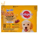 PEDIGREE Junior Wybór smaków w galaretce - mokra karma dla psa - 12x100 g