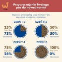 PURINA DOG CHOW SENSITIVE Łosoś 14+2,5kg