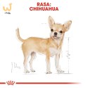 ROYAL CANIN BHN Chihuahua Adult - mokra karma dla psa dorosłego - 12x85g