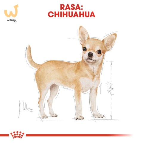 ROYAL CANIN BHN Chihuahua Adult - mokra karma dla psa dorosłego - 12x85g ROYAL CANIN BHN Chihuahua Adult - mokra karma dla psa dorosłego - 12x85g