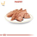 ROYAL CANIN BHN Chihuahua Adult - mokra karma dla psa dorosłego - 12x85g