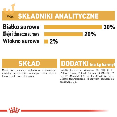 ROYAL CANIN BHN Chihuahua Adult - mokra karma dla psa dorosłego - 12x85g ROYAL CANIN BHN Chihuahua Adult - mokra karma dla psa dorosłego - 12x85g