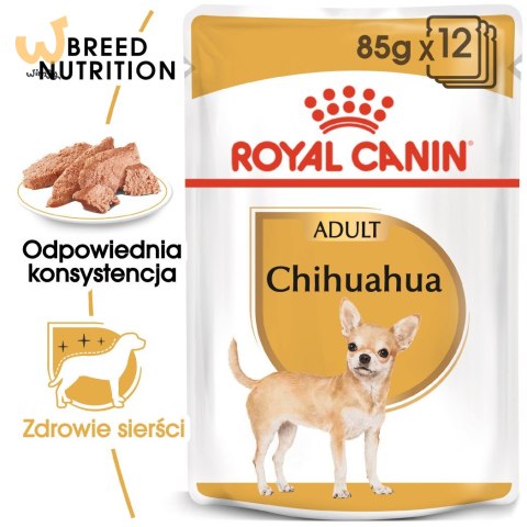 ROYAL CANIN BHN Chihuahua Adult - mokra karma dla psa dorosłego - 12x85g ROYAL CANIN BHN Chihuahua Adult - mokra karma dla psa dorosłego - 12x85g