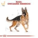 ROYAL CANIN BHN German Sh Ad - sucha karma dla psa dorosłego - 11 kg