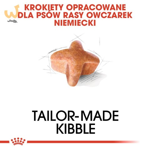 ROYAL CANIN BHN German Sh Ad - sucha karma dla psa dorosłego - 11 kg ROYAL CANIN BHN German Sh Ad - sucha karma dla psa dorosłego - 11 kg