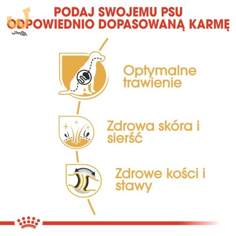ROYAL CANIN BHN German Sh Ad - sucha karma dla psa dorosłego - 11 kg ROYAL CANIN BHN German Sh Ad - sucha karma dla psa dorosłego - 11 kg