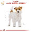 ROYAL CANIN BHN Jack Russell Terrier Adult - sucha karma dla psa dorosłego - 1,5kg