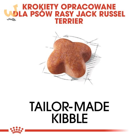 ROYAL CANIN BHN Jack Russell Terrier Adult - sucha karma dla psa dorosłego - 1,5kg ROYAL CANIN BHN Jack Russell Terrier Adult - sucha karma dla psa dorosłego - 1,5kg
