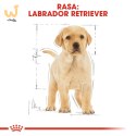 ROYAL CANIN BHN Labrador Puppy - sucha karma dla szczeniąt - 12kg